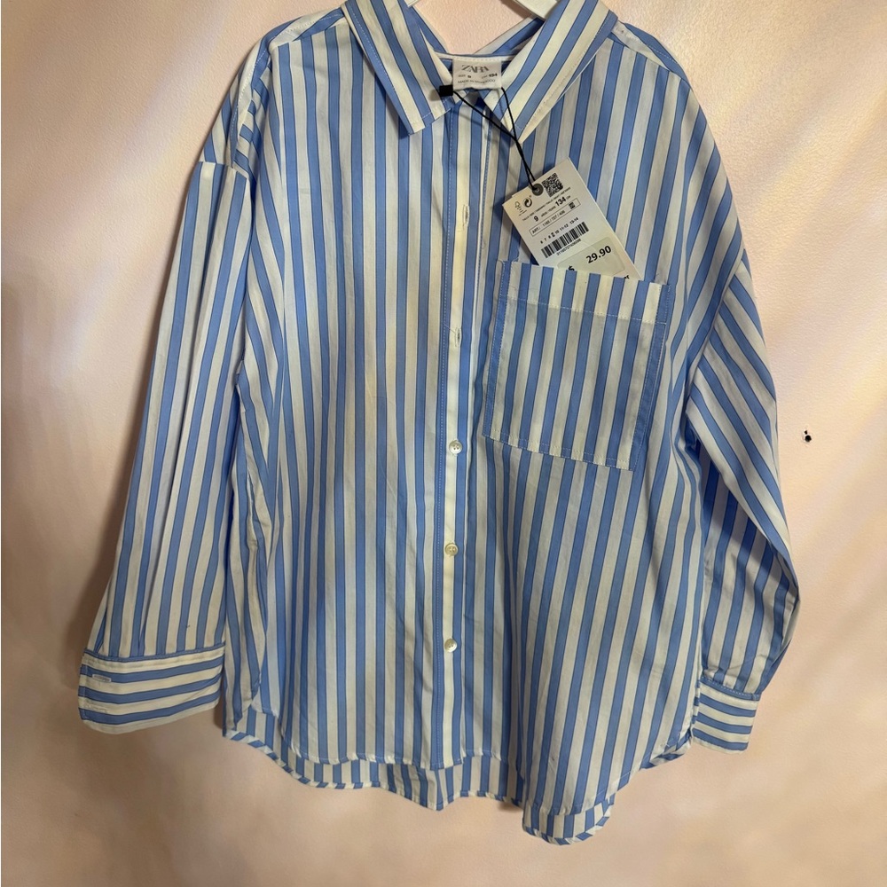 Zara Blue and White Striped Shirt